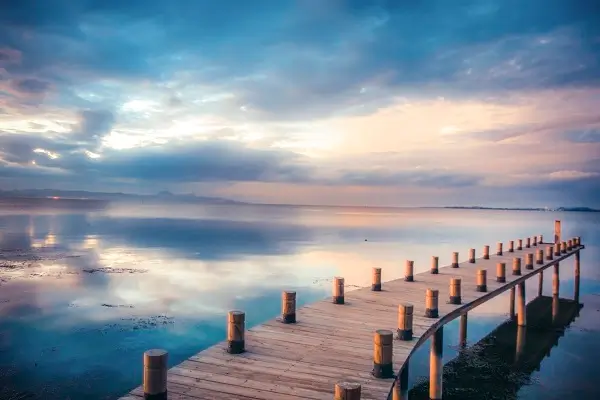 晋州风水公司排名榜前十